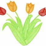 Blumenstrauss, Tulpen, Bouquet, rot, orange, vier Blumen, Zeichnung, Illustration, Druckaufloesung, Gratisbild, Illuminatoren, kirchliche Jugendarbeit, katholische Kirche, Pastoralraum meggerwald pfarreien, Horw, Christentum