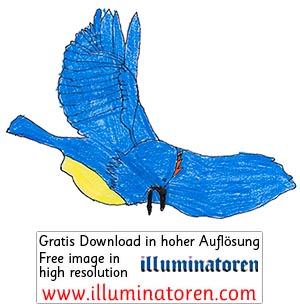 Vogel, fliegend, Flug, Zeichnung, Illustration, Druckaufloesung, Gratisbild, Illuminatoren, kirchliche Jugendarbeit, katholische Kirche, Pastoralraum meggerwald pfarreien, Horw, Christentum