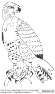 adler-evangelist-johannes-symbol-maximil